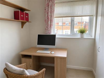 Picture 8